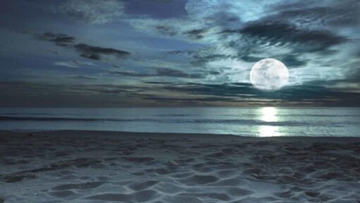 I BEAT THEM (and you can too)