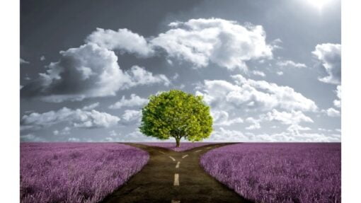 As a Man, Husband, Father & Business Owner